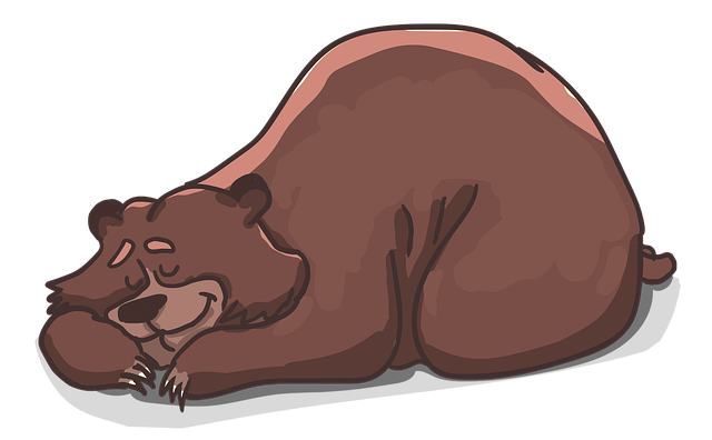 medvěd